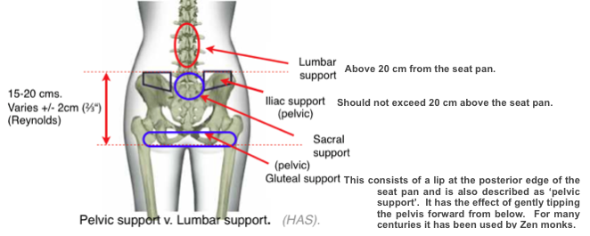 Backrests. Pelvic Support V. Lumbar. - Sitting Safely?