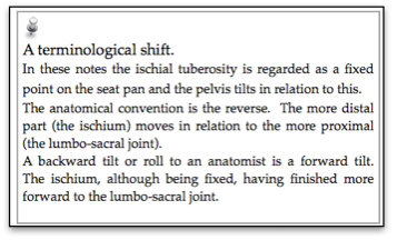 terminologic shift