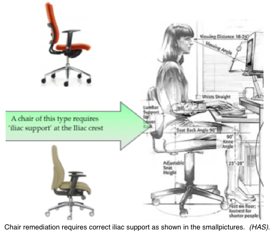 Lumbar Support Cushions & Rolls from Posturite